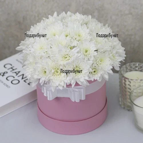 Box of White Chrysanthemums - 7 Stems