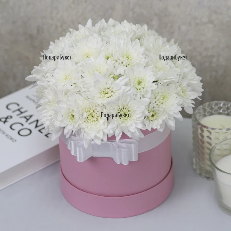 Box of White Chrysanthemums - 7 Stems