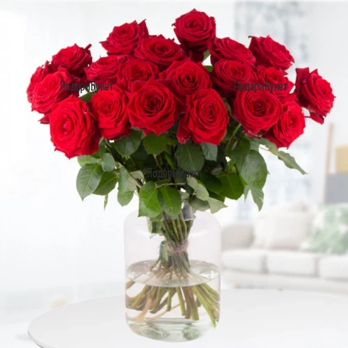 Send bouquet of red roses to Sofia, Plovdiv, Varna, Burgas