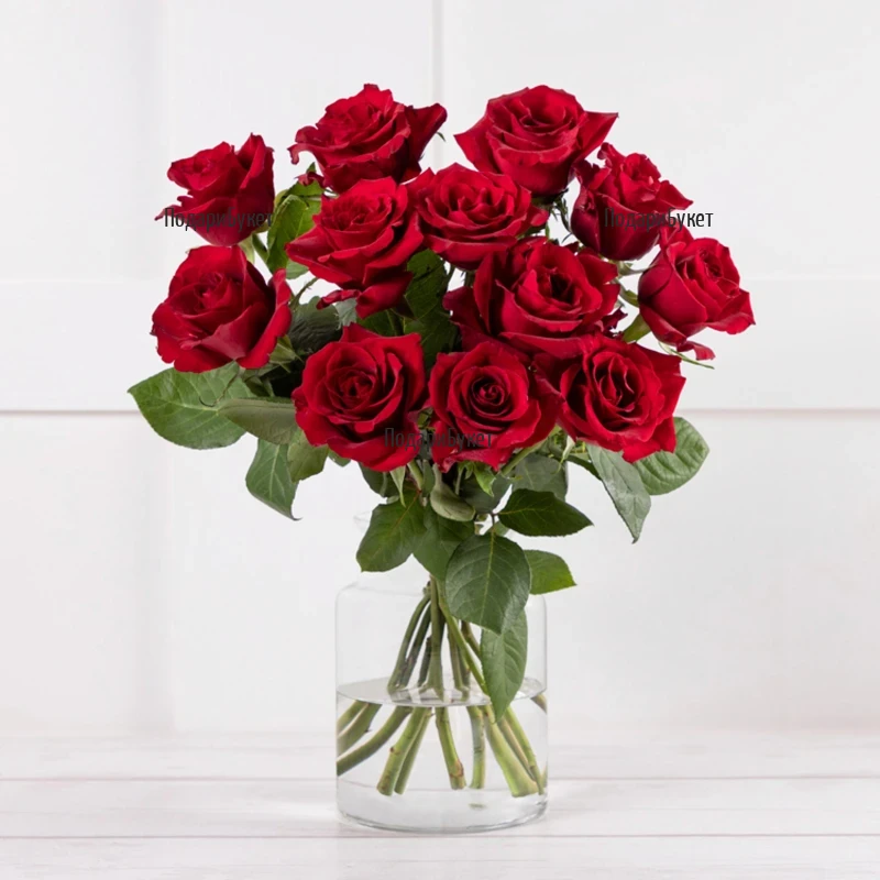 Send bouquet of red roses to Sofia, Plovdiv, Varna, Burgas