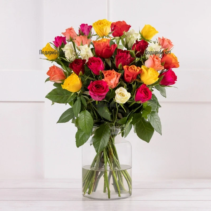 Send bouquet of multicoloured roses to Sofia, Plovdiv, Varna, Burgas