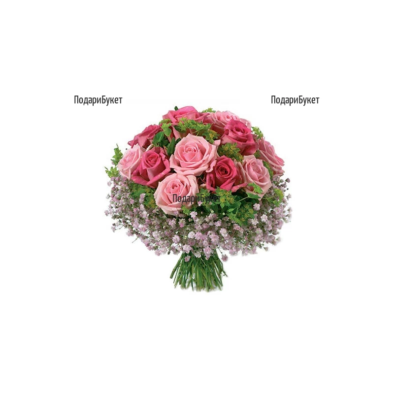 Send bouquet of pink roses to Sofia, Plovdiv, Varna, Burgas