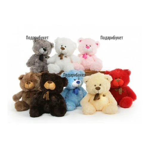 Teddy Bear