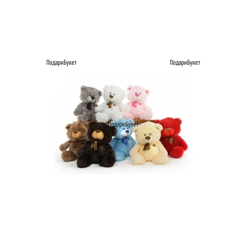 Teddy Bear